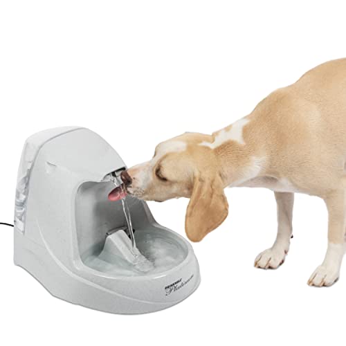 PetSafe Drinkwell Platinum